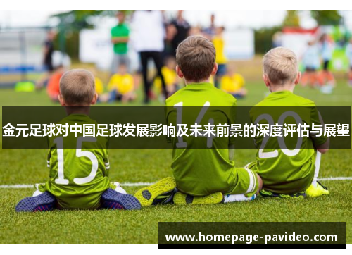 金元足球对中国足球发展影响及未来前景的深度评估与展望 金元足球对中国足球发展影响及未来前景的深度评估与展望