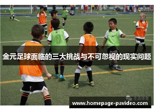 金元足球面临的三大挑战与不可忽视的现实问题