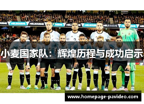 小麦国家队：辉煌历程与成功启示