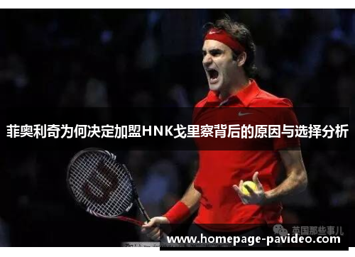 菲奥利奇为何决定加盟HNK戈里察背后的原因与选择分析