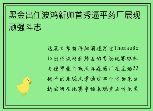 黑金出任波鸿新帅首秀逼平药厂展现顽强斗志 黑金出任波鸿新帅首秀逼平药厂展现顽强斗志